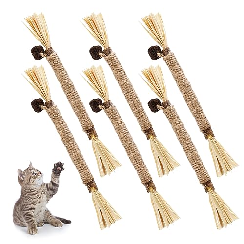 FANTESI 6 Stück 23cm Katzenminze Sticks