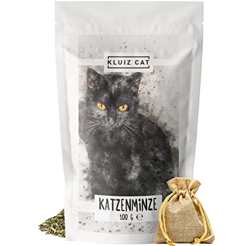 KLUIZ CAT - XXXL 100 Gramm Katzenminze