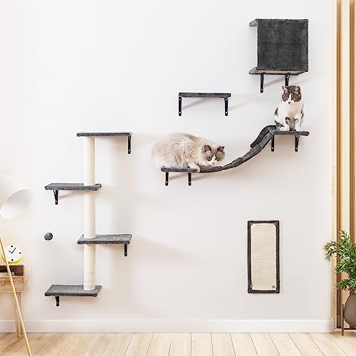 Kletterwand Katzen Set