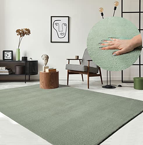 the carpet Relax Moderner Flauschiger Kurzflor Teppich