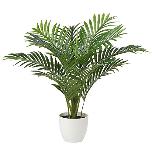 Briful Kunstpflanze Palme Künstliche Pflanzen Kunstpalme