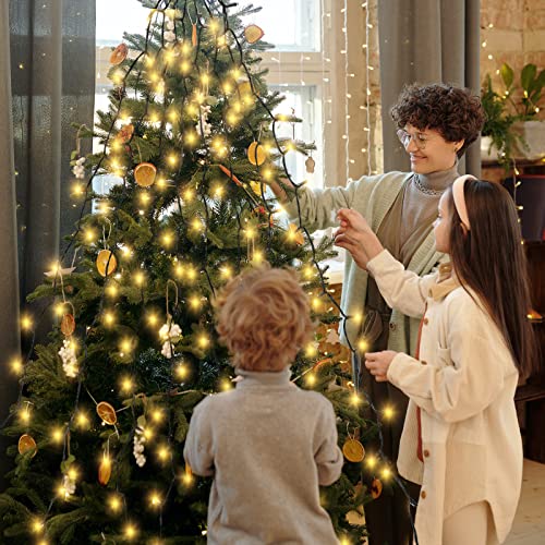 LED-Weihnachtsbaum im Bild: SALCAR 2m Christbaumbeleuchtung mit Ring und 8 Girlanden