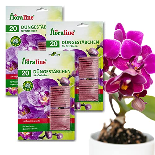 Floraline 60x Orchideen