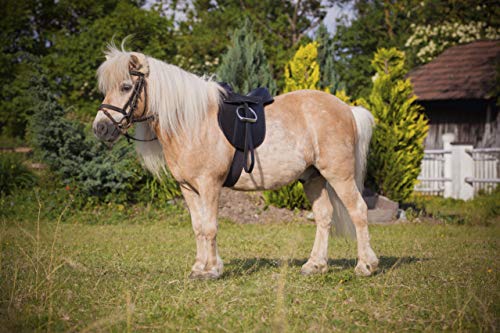 Pferdesattel im Bild: Kerbl Sattelset Economy Pony