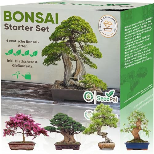 SeedPal Easy Bonsai Starter Kit