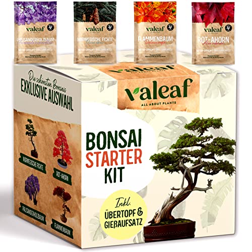 valeaf Bonsai Starter Kit