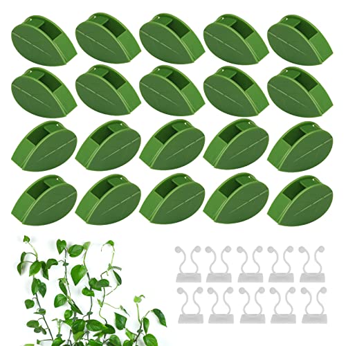 Yoosso 60 Stück Pflanzenclips für Kletterpflanzen
