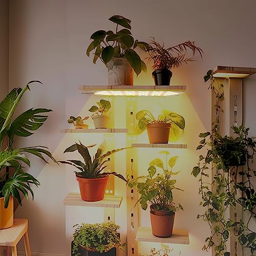 Pflanzenlicht im Bild: EWITTTI Pflanzenlampe LED Vollspektrum