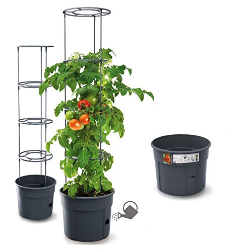 rgvertrieb Blumentopf Tomatentopf Topf für Tomatenpflanzen