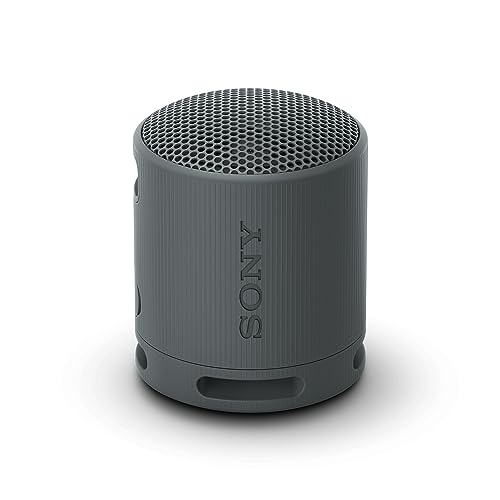 Sony SRS-XB100 - Kabelloser Bluetooth (SRSXB100B.CE7)