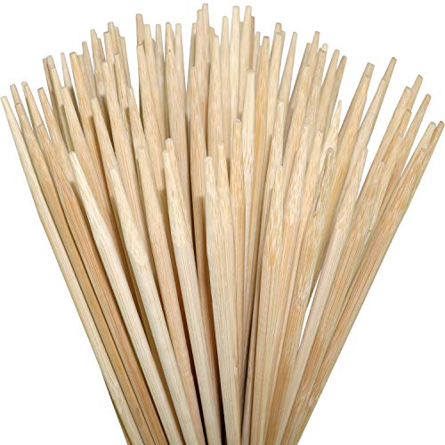 ORANGE DEAL 100 Pflanzenstütze Bambus