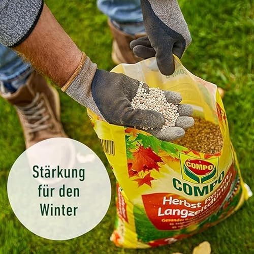 Rasen im Bild: Compo Herbst-Rasen Langzeit-Dünger (2...