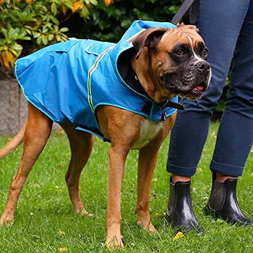 Regenmantel für Hund im Bild: Bella & Balu Hunderegenmantel – Wasserdichter Hundemantel mit Kapuze