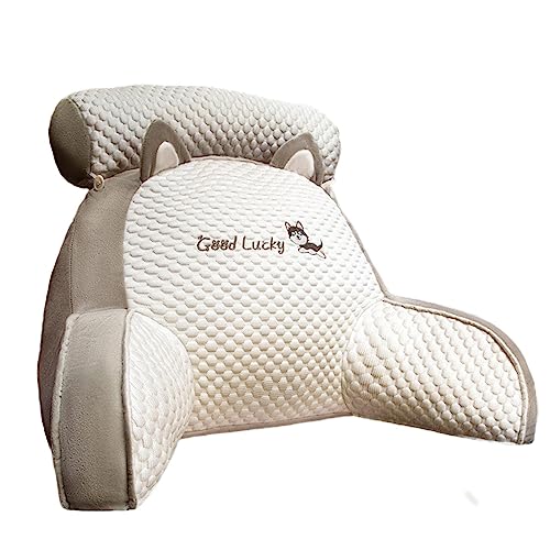 PW TOOLS Ice Silk Cute Reading Pillow