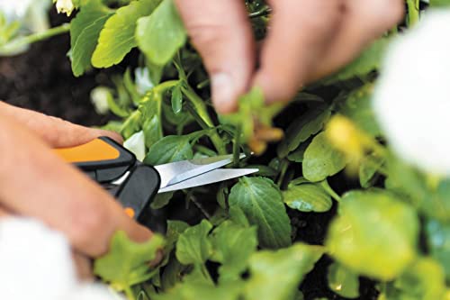 Schere für den Garten im Bild: Fiskars Microtip Gartenschere SP13
