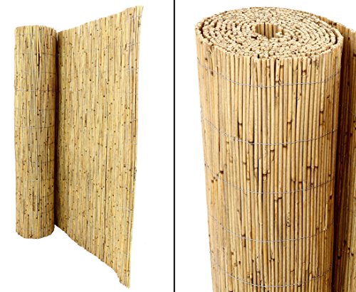 bambus-discount.com Schilfrohrmatte Premium 120 x 600cm