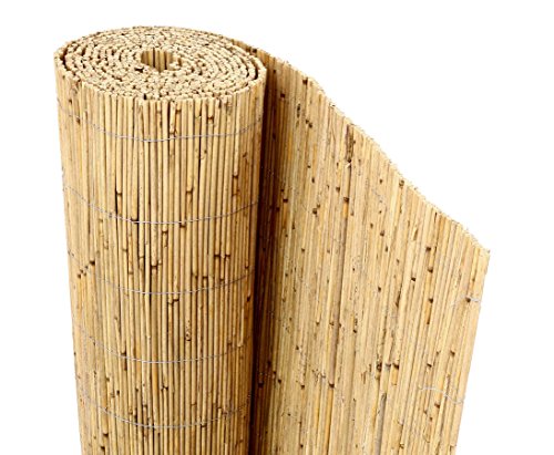 bambus-discount.com Schilfrohrmatte Premium
