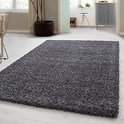 Carpetsale24 Shaggy Hochflor Teppich Wohnzimmer 160x230