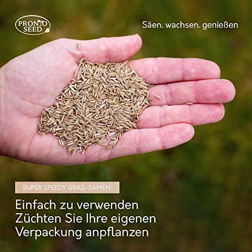 Spielrasen im Bild: pronto seed Rasensamen – 1,4 kg ...