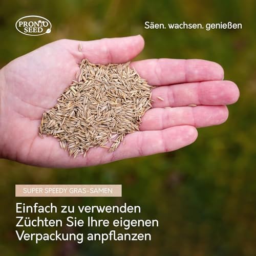 Spielrasen im Bild: pronto seed Rasensamen – 1,4 kg Premium-Qualität