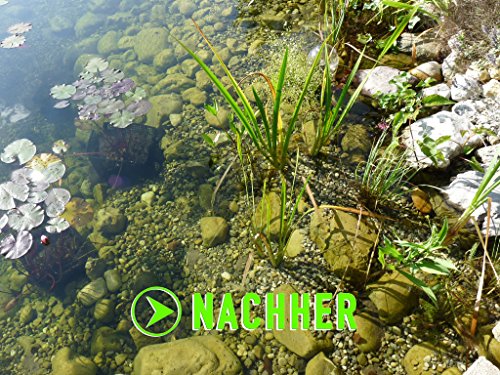 Teichpflege im Bild: Algenkiller Protect Wasserpflege...