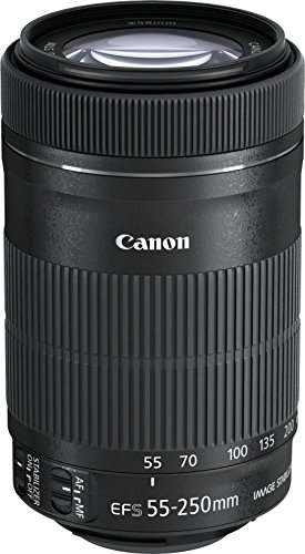 Canon EF-S 55-250mm 1:4-5.6 is STM Tele
