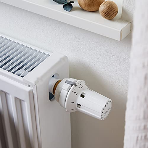 Thermostat im Bild: Danfoss RAW 5010, Thermostatisch...