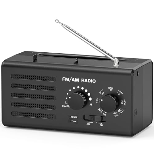 Padwa Lifestyle Transistorradio AM FM – Tragbares