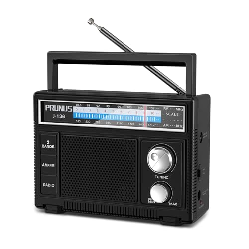 prunus J-136 AM FM UKW Radio Klein