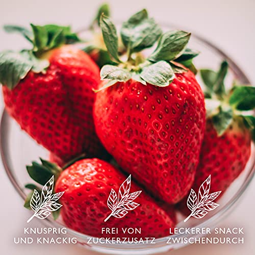 Trockenfrucht im Bild: OMH nutrition OH MY HEALTH Erdbeeren gefriergetrocknet in Scheiben 300g