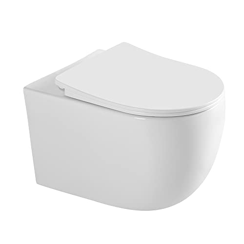 Teal Home Hänge WC Spülrandlos WC Set aus Keramik