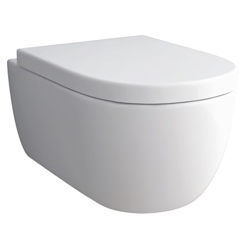 Alpenberger Hänge WC Spülrandlos Toilette