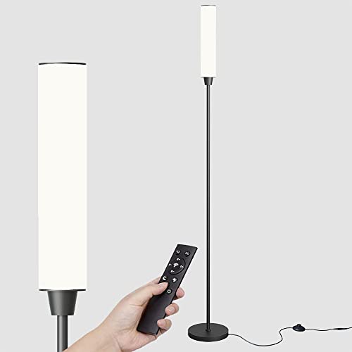 Nukanu Floor Lamp with Remote Control