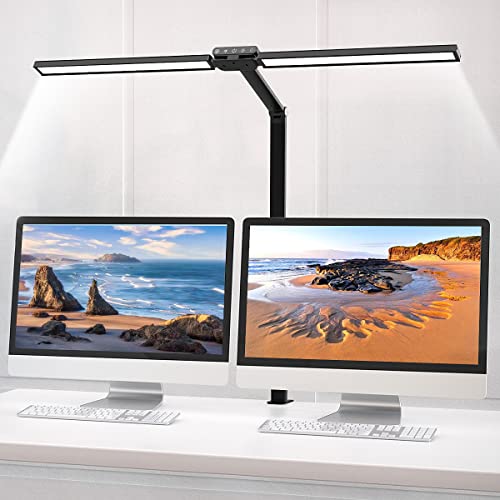 Hapfish LED Desk Lamp for Home Office