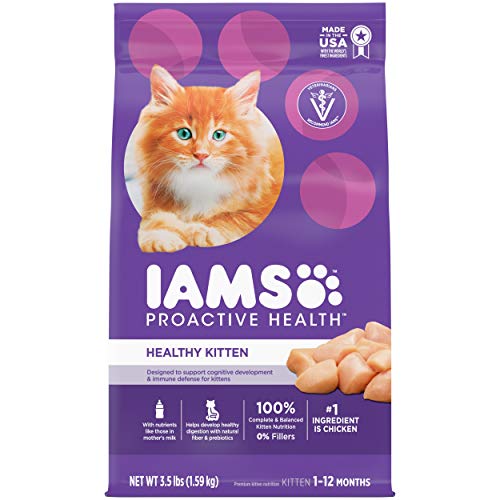 Iams Proactive Health Healthy Kitten Dry