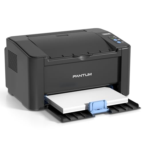 Pantum Laser Printer Black and White