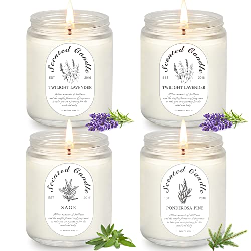 LOSNYA 4 Pack Candles for Home Scented