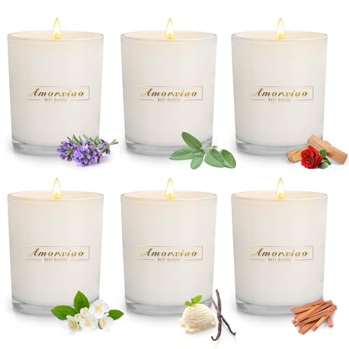 VSAFHZ 6 Pack Scented Candles for Home Scented