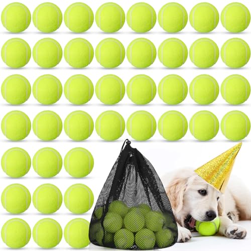 Lenwen 30 Pack Tennis Balls Training