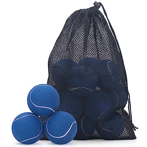 SUNEZLGO Premium 12-Piece Tennis Balls Set