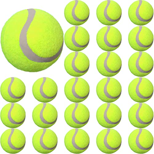 Vinsot 24 Pieces Training Tennis Balls