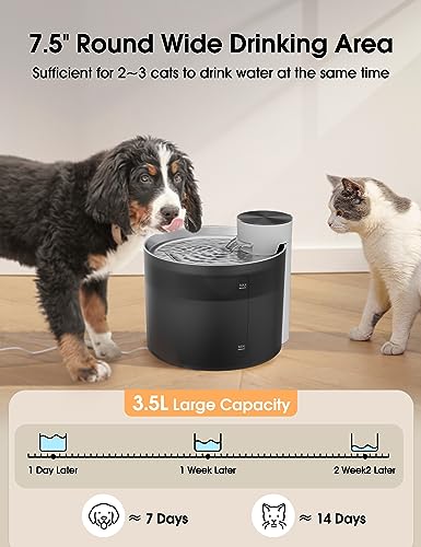 Pictured Coolest Pet Fountain: WOPET Cat Water Fountain W500,3.5L/118oz Cat