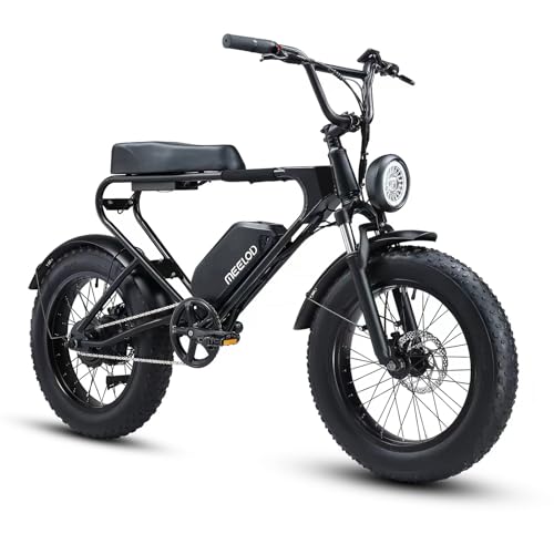 MEELOD Electric Bike for Adults with 750W