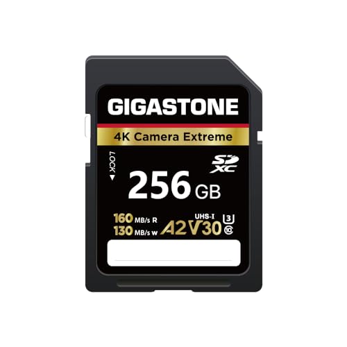 Gigastone 256GB SD Card