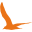 www.birdforum.net Logo