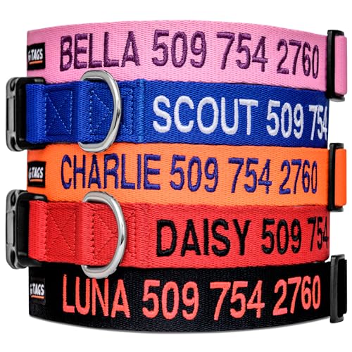 GoTags Personalized Dog Collar
