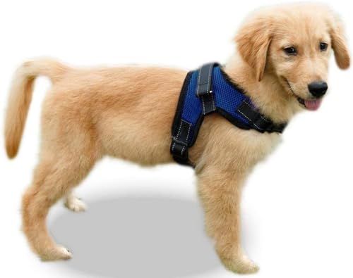 Copatchy Dog Harness Medium Sized Dog