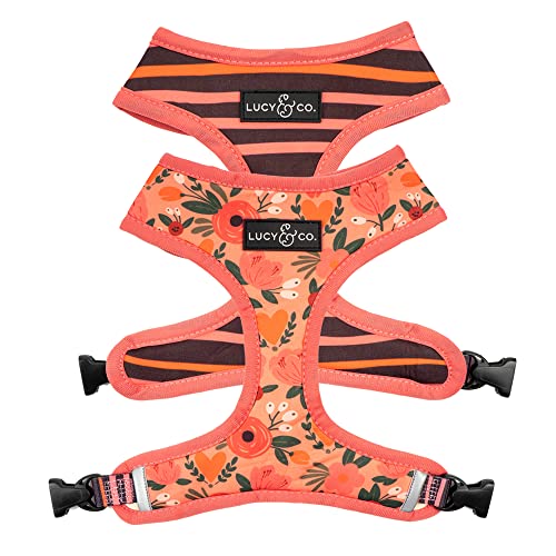 Lucy & Co Reversible Dog Harness