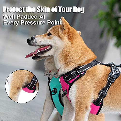 Pictured Most Comfortable Dog Harness: PoyPet No Pull Dog Harness