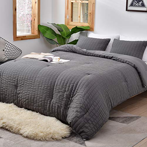 AveLom Seersucker Queen Comforter Set (90x90 inches)